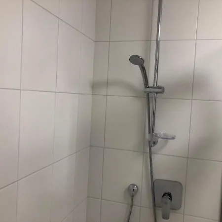 - * インスブルック